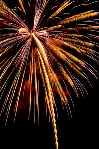 Low angle view of firework display in sky at night