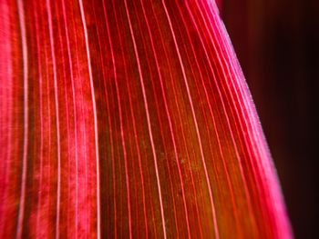 Close-up of multi colored light over black background