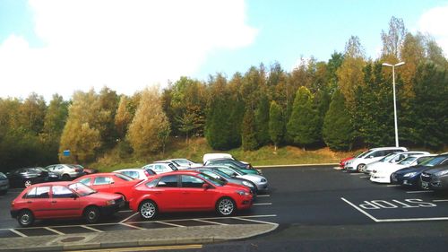 Cars parked by trees against sky