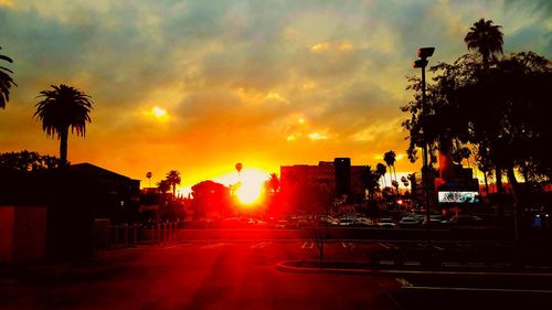 Palm trees in city against sky at sunset