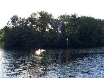 Reflection of trees in water