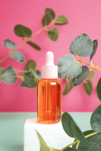 Glass dropper bottle on podium with eucalyptus branch on pink background. cosmetic container mock-up