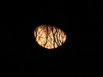 Low angle view of silhouette bare tree against clear sky