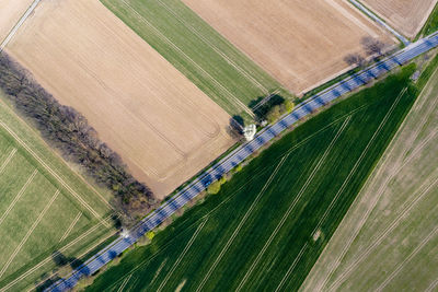 High angle view of agricultural field