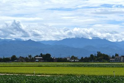 Scenic view of field against sky