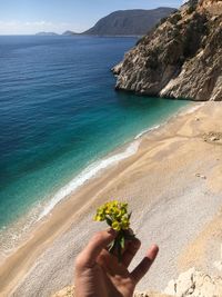 Cropped hand of person holding flower against beach