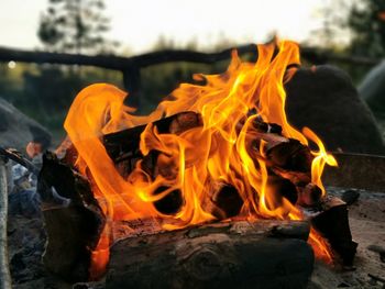 Close-up of bonfire