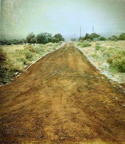 Dirt road along trees on field