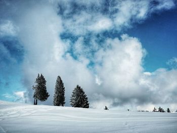 Trees on snow covered field against sky