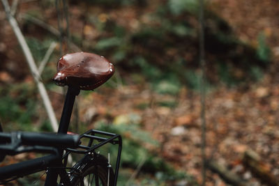 Close-up view of bike saddle