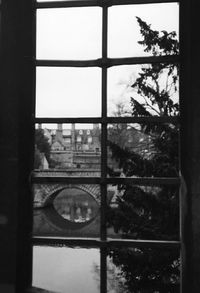 View of trees through window