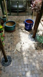 High angle view of shadow on floor