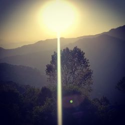 Silhouette trees and mountains against sky during sunset