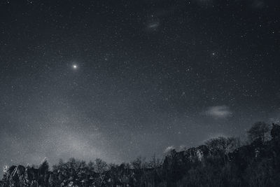 Low angle view of trees against sky at night