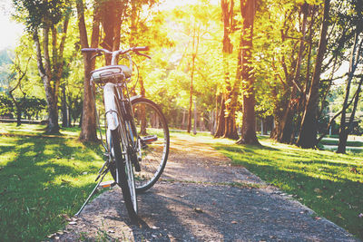 Bicycle in park