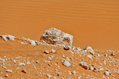 Close-up of rusty metal on sand