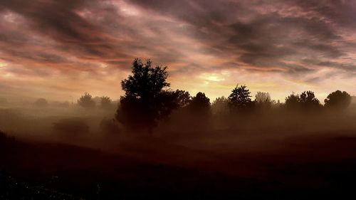 Silhouette trees on landscape against sky during sunset