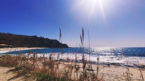 Scenic view of sea against clear sky