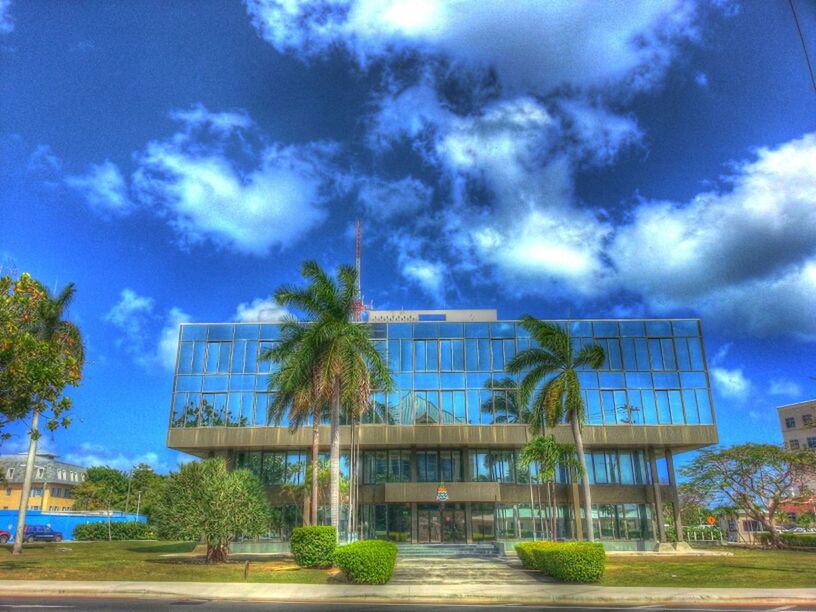 sky, tree, blue, cloud - sky, built structure, architecture, building exterior, cloud, cloudy, transportation, palm tree, road, growth, outdoors, street light, day, no people, nature, street, city