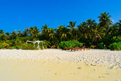 Palm trees on beach against clear blue sky