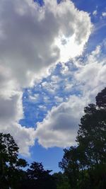 Low angle view of silhouette trees against sky