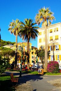 Palm trees in city against blue sky