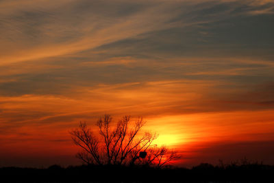 Silhouette trees against dramatic sky during sunset