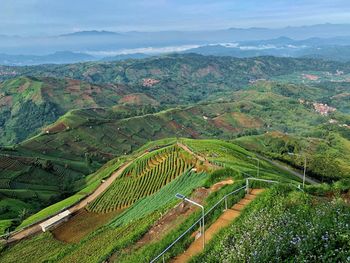 Aerial view of agricultural field