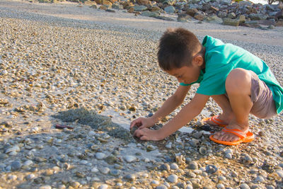 Shot of boy observing on beach