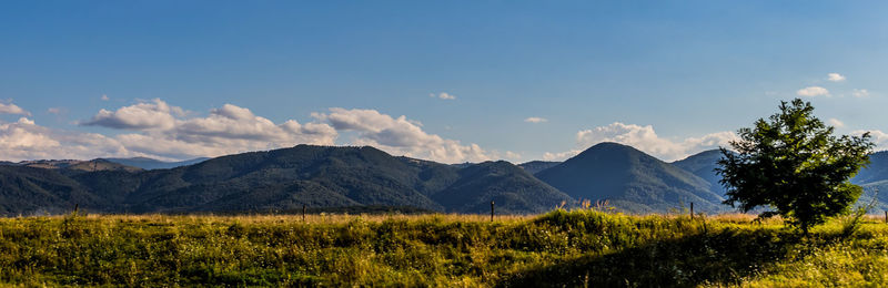 Scenic view of field and mountains against sky