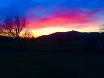 Silhouette of trees at sunset