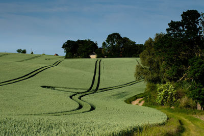 Scenic view of farm against sky