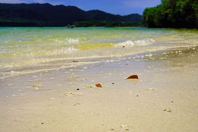 Surface level of beach