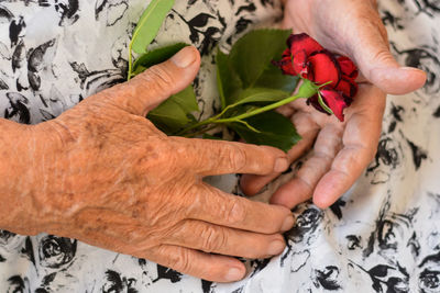 Close-up of man holding flower