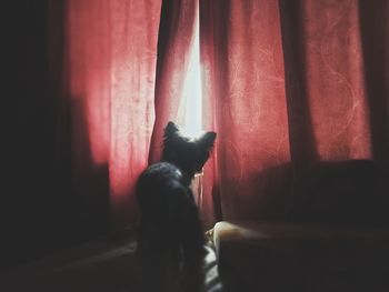 Man looking away against window