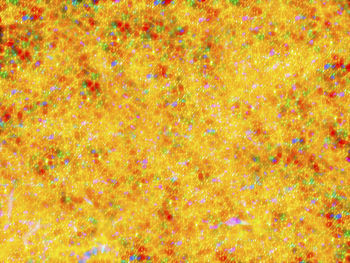 Full frame shot of multi colored background
