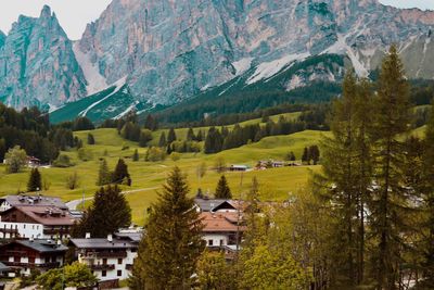 Scenic view of trees and houses by mountains