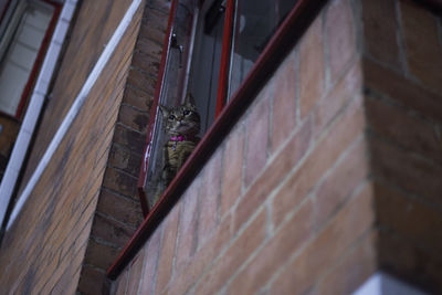 High angle view of brick wall