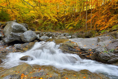 Stream flowing through rocks in forest