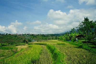Scenic view of field against cloudy sky