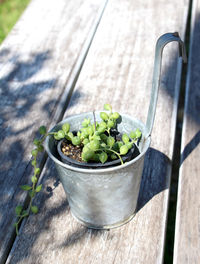 High angle view of vegetables in container on table