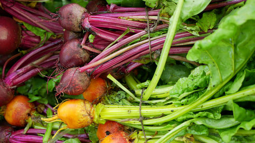 Full frame shot of vegetables