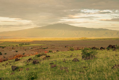 View of masai village at mount ol doinyo lengai in the ngorongoro conservation area in tanzania