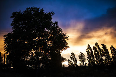 Low angle view of silhouette trees against sky at sunset