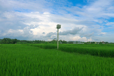 Scenic view of farm against sky