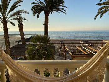 Palm trees by swimming pool against sky