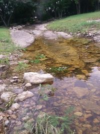 Rocks in river