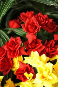 Close-up of flowers