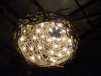 Low angle view of illuminated light bulb hanging at night