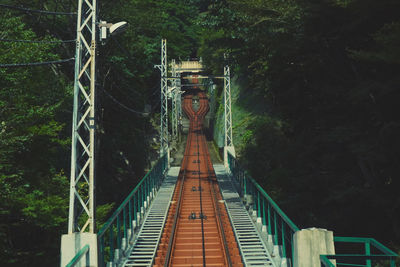 Footbridge amidst trees in forest